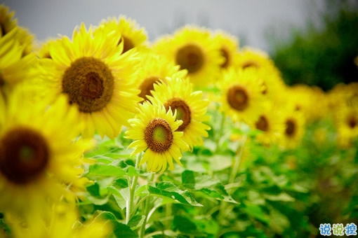 再見十月你好十一月個性說說帶圖片 11月請對我好一點心情說說8