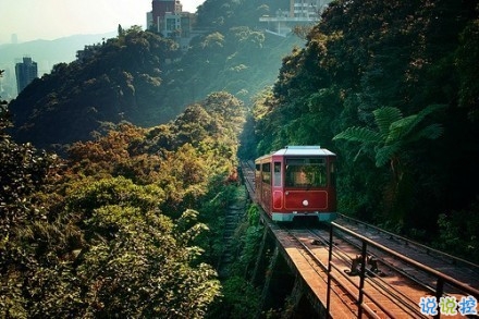 感悟生活的早安心情說說 陽光這么好別辜負(fù)了今天10