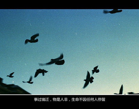 超傷感難過悲傷的愛情說說 你是我枯水年紀(jì)里的一場(chǎng)雨6