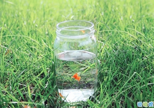 人生充滿陽光的經典勵志句子 每天都要更努力的哲理句子大全2