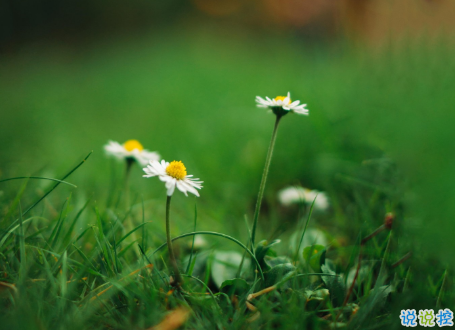 微信朋友圈治愈系早安心語說說 溫暖小清新早安說說大全9