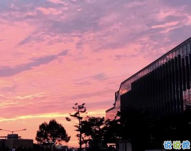 描寫春天的唯美句子帶圖片 2019適合春天的微信說(shuō)說(shuō)句子10