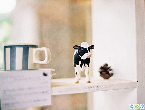 看透愛(ài)情的悲傷說(shuō)說(shuō)心痛分手帶圖片 開(kāi)始很感動(dòng)過(guò)程很精彩結(jié)局不想說(shuō)12