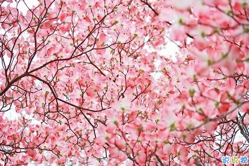 00后暗戀同桌的微信說說帶圖片 寫給暗戀同桌的話3