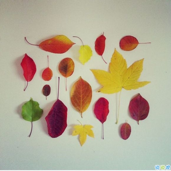 戀愛時的甜蜜小情話溫柔的句子帶圖片 我奔向你就像奔向未來11