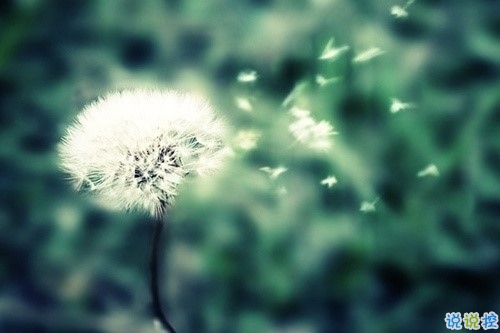 關于現實的人生感悟帶圖片 27條值得收藏和學習的經典說說大全2