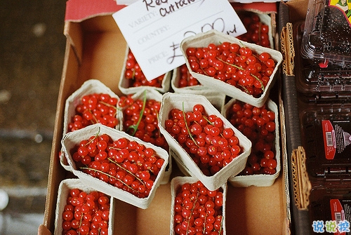 唯美簡(jiǎn)單又有哲理有道理的內(nèi)涵一句話說說帶圖片16