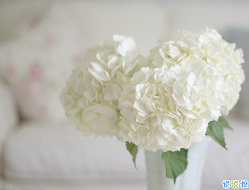 給人正能量的早安句子2019精選 早安說說簡短經典一句話2