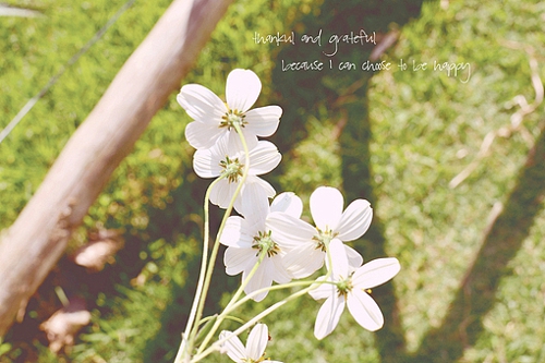 優(yōu)美說說唯美的句子配圖：海底月是天上月，只是鏡花水月9