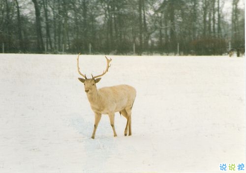 關(guān)于分離分別的傷感說說 每個人都是孤獨的傷感說說20181