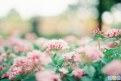 迎接2019的說說滿滿正能量帶圖片 與2018說再見用雙手去擁抱20193