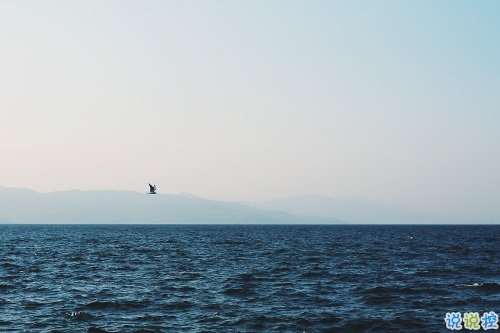 超級甜蜜的肉麻話說說帶圖片 與情感有關(guān)的唯美說說配圖14