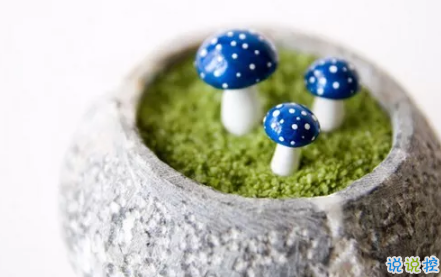 送給自己的話勵志簡短2018最新版 送給自己的話經(jīng)典簡短2