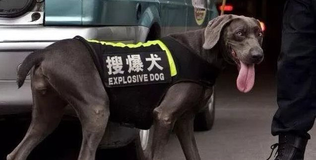 超搞笑的英語(yǔ)翻譯/中式翻譯說(shuō)說(shuō)帶圖片3