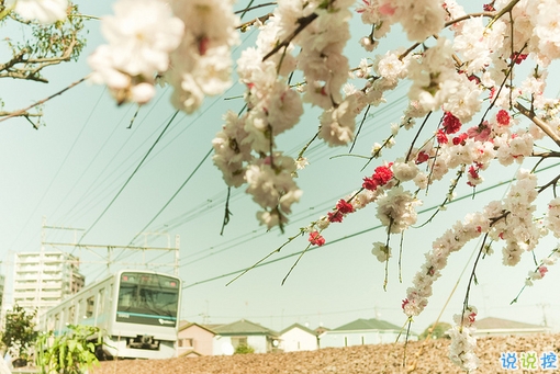 很特別的早安說說大全帶圖片 朋友圈早安心語(yǔ)獨(dú)一無(wú)二吸引人5