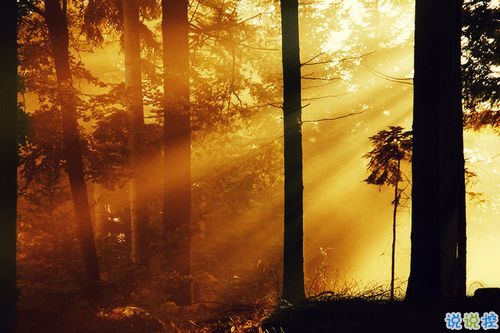 女生跟男朋友撒嬌的說(shuō)說(shuō)帶圖片 女生寫(xiě)給男生的可愛(ài)情話5