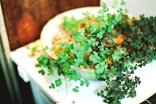 關于夏天的唯美文藝說說帶圖片 夏有彤云蔚然成風3