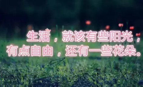 2018早安語(yǔ)錄新的一天帶圖片 唯美早安語(yǔ)錄圖片配圖值得收藏3