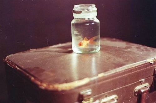 關(guān)于愛情的傷感難過句子帶圖片 我們兩個之間的進度條可能也就只到這里了吧2