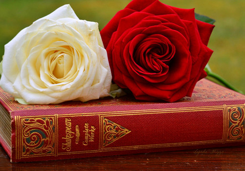 痛徹心扉的傷感愛情說說帶圖片 我在每個下雨天想起你15