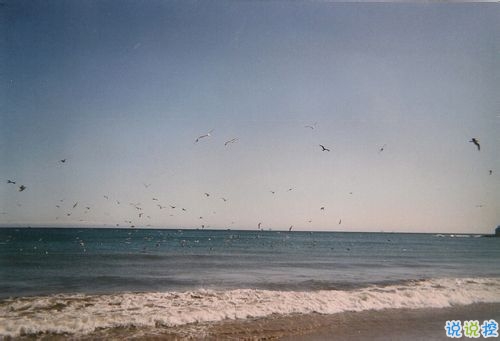 抖音說說短語霸氣高冷男生 比較火的霸氣超拽說說2