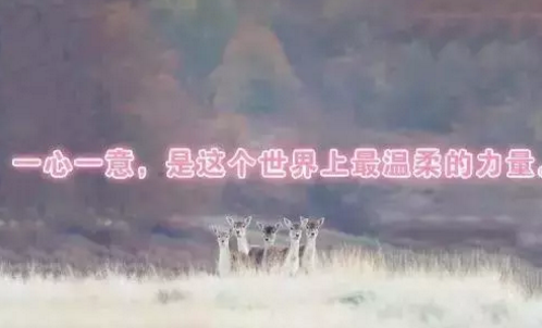 2018早安語(yǔ)錄新的一天帶圖片 唯美早安語(yǔ)錄圖片配圖值得收藏10