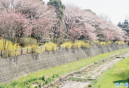 2019最新經(jīng)典說說給人希望 激勵人心的經(jīng)典說說帶圖片13