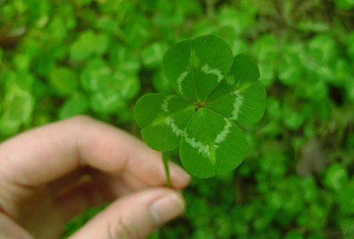 很含蓄唯美的藏頭詩(shī)說(shuō)說(shuō)帶圖片文字控會(huì)很喜歡14