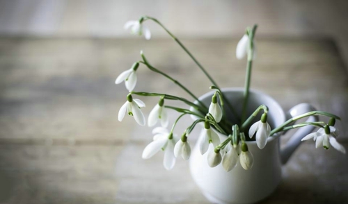 溫暖正能量的勵(lì)志說(shuō)說(shuō)帶圖片 祝你萬(wàn)事勝意一切都比你想象的還要好一點(diǎn)9