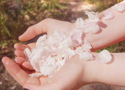 告白時(shí)的文藝?yán)寺樵捑渥?超浪漫的文藝愛情句子1