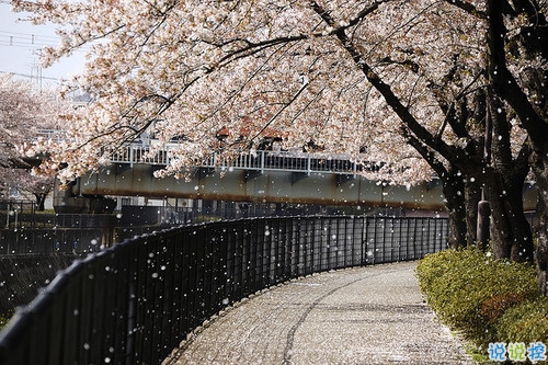 qq空間勵志說說帶圖片2019 00后都愛的勵志句子年輕人必備10