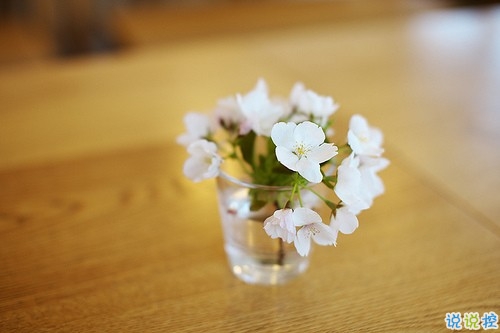 關(guān)于人生哲理的句子 2019哲理句子大全簡(jiǎn)短精辟1