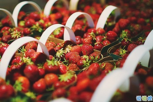 很特別的微信說(shuō)說(shuō)帶圖片獨(dú)一無(wú)二 15條值得收藏的經(jīng)典句子9