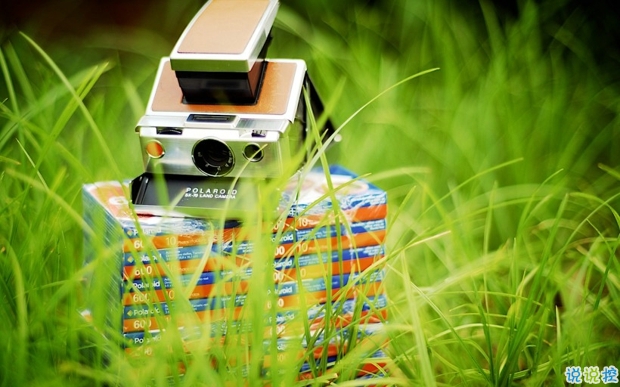 2019婦女節(jié)朋友圈說說大全配圖 溫馨浪漫的38婦女節(jié)說說帶圖片3