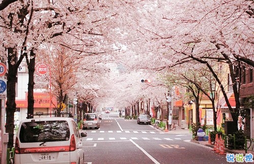 90后的個性說說心情短語 90后深有同感的經典說說2