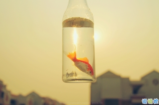 我們一路走來都很堅強的勵志說說帶圖片 很正能量的經(jīng)典勵志說說9