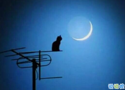 很有道理的心情說說很走心 一句話感悟生活認(rèn)清現(xiàn)實的說說2