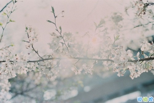 愛到痛了的傷感說說帶圖片 心痛到無法呼吸的傷感說說配圖10