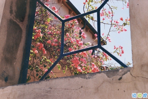 文字控最愛(ài)唯美詩(shī)意的圖片句子 所有的記憶都是潮濕的3