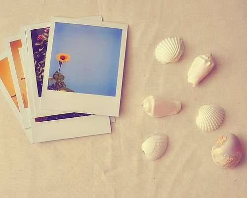 有哪些詩歌讀到后心里像開出了一朵花？10