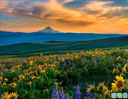 很真實(shí)幸福的愛情說說帶圖片 向另一伴告白的浪漫愛情說說12