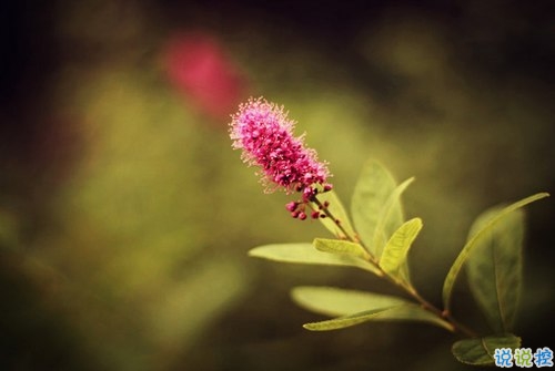 看透愛(ài)情的悲傷說(shuō)說(shuō)心痛分手帶圖片 開(kāi)始很感動(dòng)過(guò)程很精彩結(jié)局不想說(shuō)3