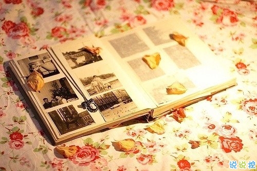 字里行間寫盡了詩意和文藝的唯美說說帶圖片7