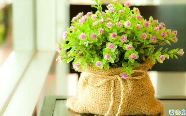 2019出去玩發(fā)朋友圈的心情說說 讓心靈去旅行說說2