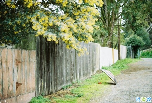 2019最新經(jīng)典語錄太經(jīng)典了霸氣 正能量的朋友圈經(jīng)典語錄1