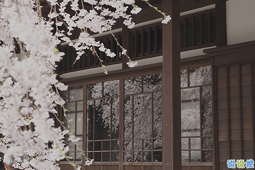 14條很美很好聽(tīng)的文藝唯美說(shuō)說(shuō)帶圖片 森系文藝范古風(fēng)說(shuō)說(shuō)1