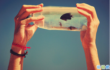 艾特自己的自嘲句子說(shuō)說(shuō)文字控 有關(guān)艾特自己的個(gè)性說(shuō)說(shuō)2