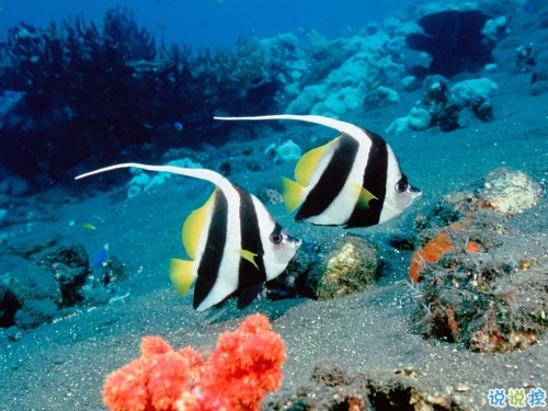 鼓舞人心的經(jīng)典說說帶圖片 朋友圈點(diǎn)贊超多的經(jīng)典說說9