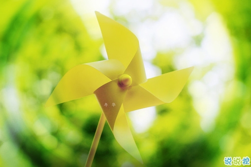 女生傷感說(shuō)說(shuō)帶圖片心情低落 越想越心痛的難過(guò)說(shuō)說(shuō)大全11