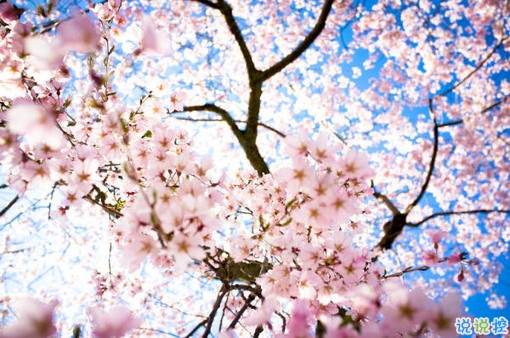 一個人感到孤獨絕望的說說帶圖片 黑夜難以入眠的悲情說說11